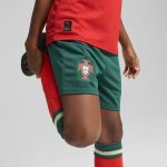 Shop portugal national team puma youth replica shorts – green – Argentina National Team Jerseys & T-Shirts for True Fans