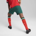 Shop portugal national team puma youth replica shorts – green – Argentina National Team Jerseys & T-Shirts for True Fans
