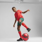 Shop portugal national team puma youth replica shorts – green – Argentina National Team Jerseys & T-Shirts for True Fans