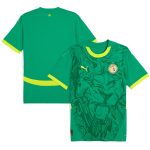 Shop senegal national team puma 2025 away replica jersey – green – Argentina National Team Jerseys & T-Shirts for True Fans