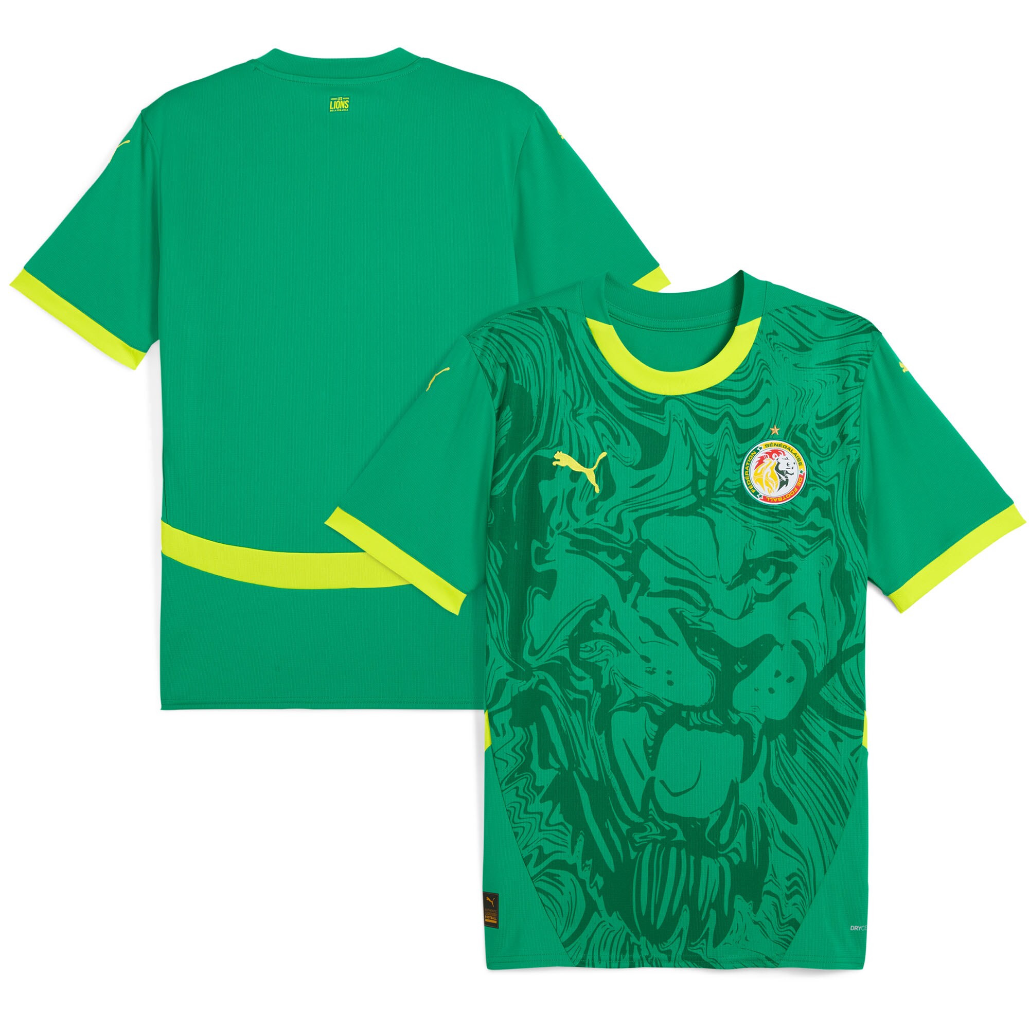 Shop senegal national team puma 2025 away replica jersey – green – Argentina National Team Jerseys & T-Shirts for True Fans