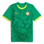 Shop senegal national team puma 2025 away replica jersey – green – Argentina National Team Jerseys & T-Shirts for True Fans
