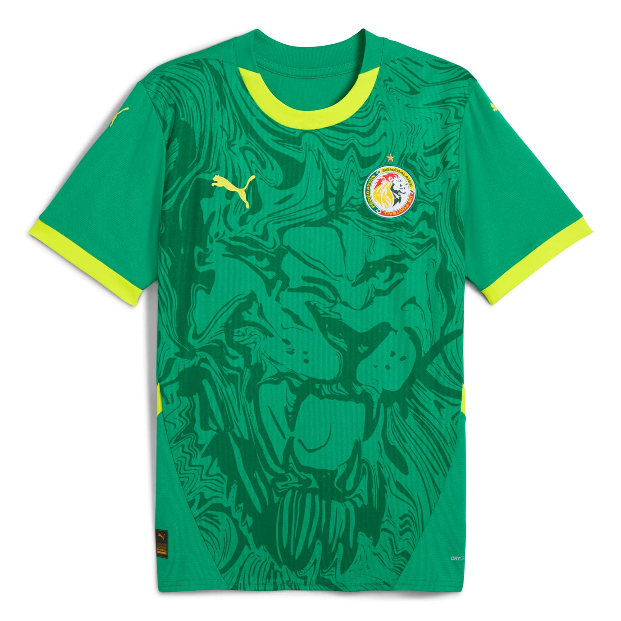 Shop senegal national team puma 2025 away replica jersey – green – Argentina National Team Jerseys & T-Shirts for True Fans