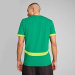 Shop senegal national team puma 2025 away replica jersey – green – Argentina National Team Jerseys & T-Shirts for True Fans