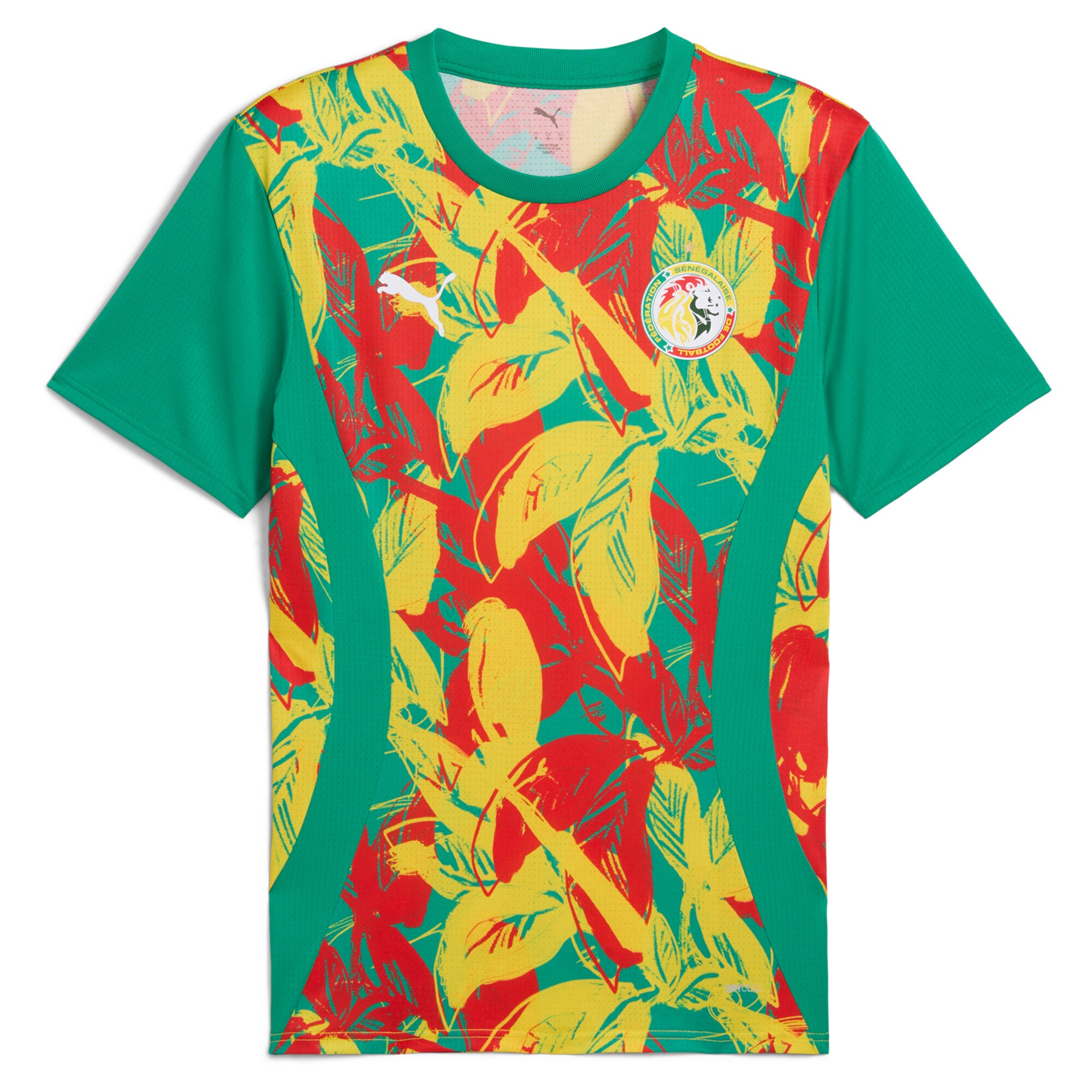 Shop senegal national team puma 2025 pre-match jersey – green – Argentina National Team Jerseys & T-Shirts for True Fans