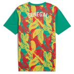 Shop senegal national team puma 2025 pre-match jersey – green – Argentina National Team Jerseys & T-Shirts for True Fans