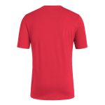 Shop spain national team adidas 2024 european champions t-shirt – red – Argentina National Team Jerseys & T-Shirts for True Fans