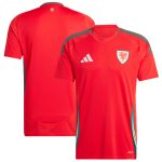 Shop wales national team adidas 2024 home replica jersey – scarlet – Argentina National Team Jerseys & T-Shirts for True Fans