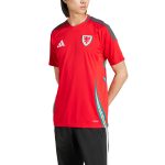 Shop wales national team adidas 2024 home replica jersey – scarlet – Argentina National Team Jerseys & T-Shirts for True Fans
